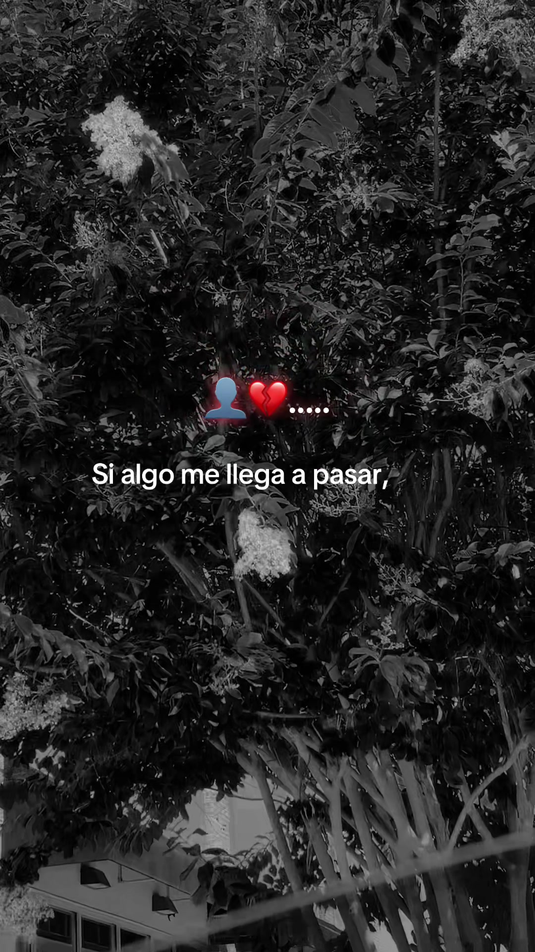 @susymendoza💔🥀🪫
