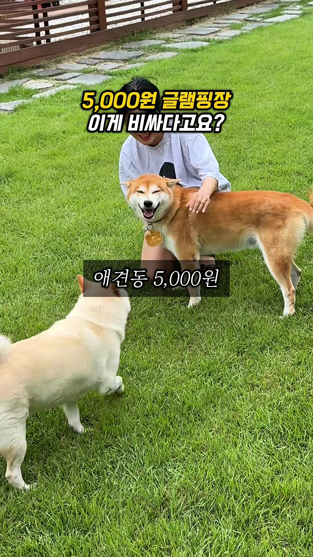@소원이가 말하는 맛집