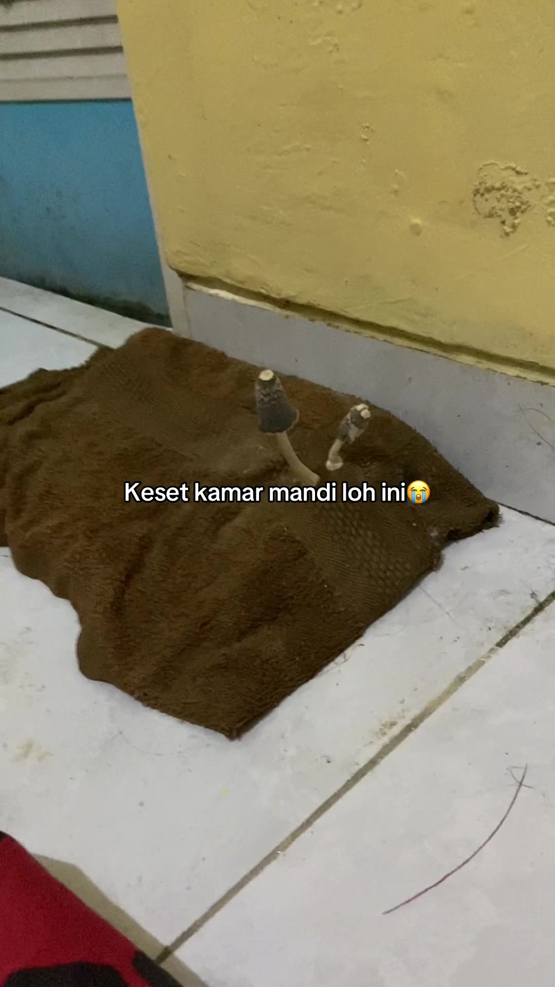 @kiddnumber11
