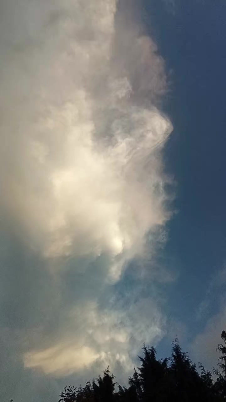 @𝓜𝓸𝓷.♡