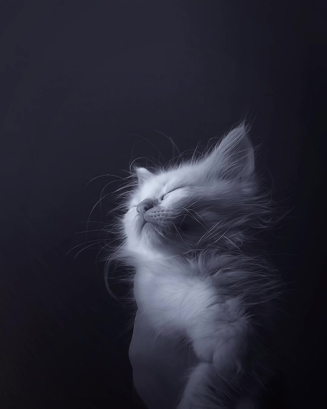 @Vbotメ