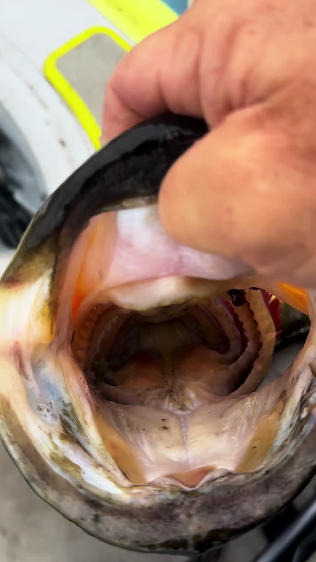@jgkayakfishing