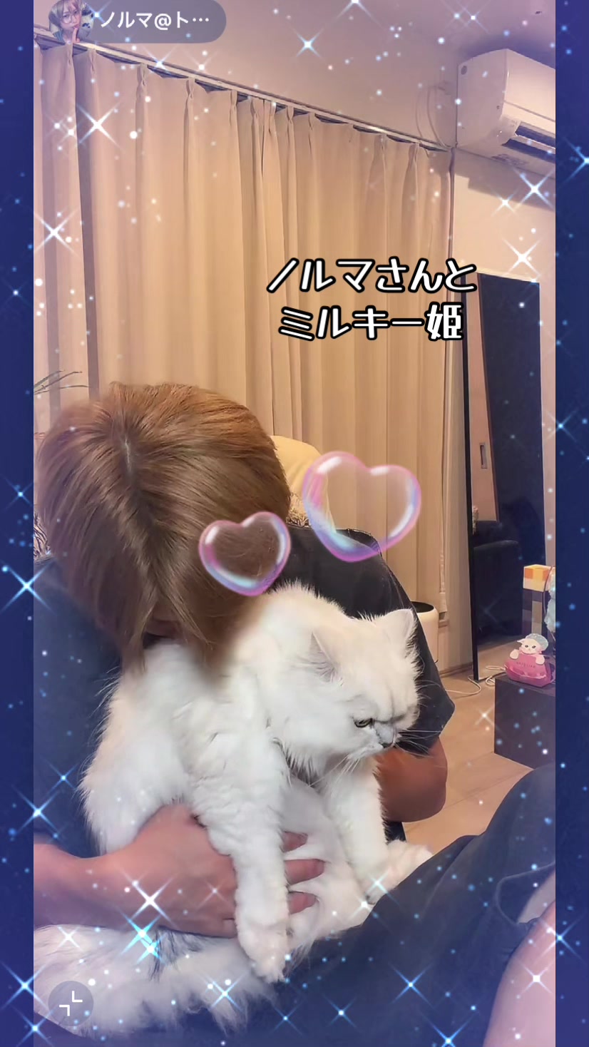 @kagi🗝️neco🐱②