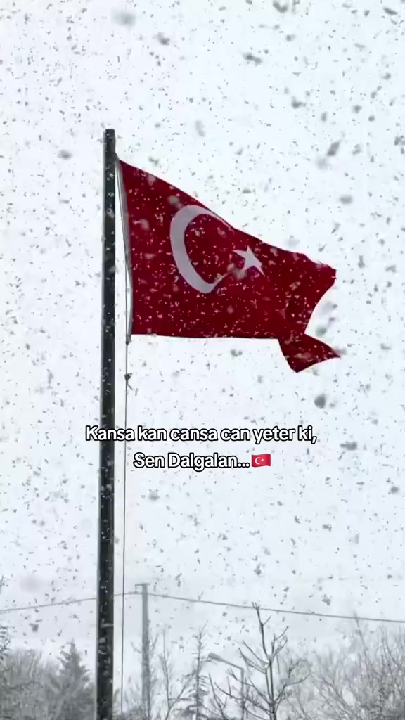 @Halil