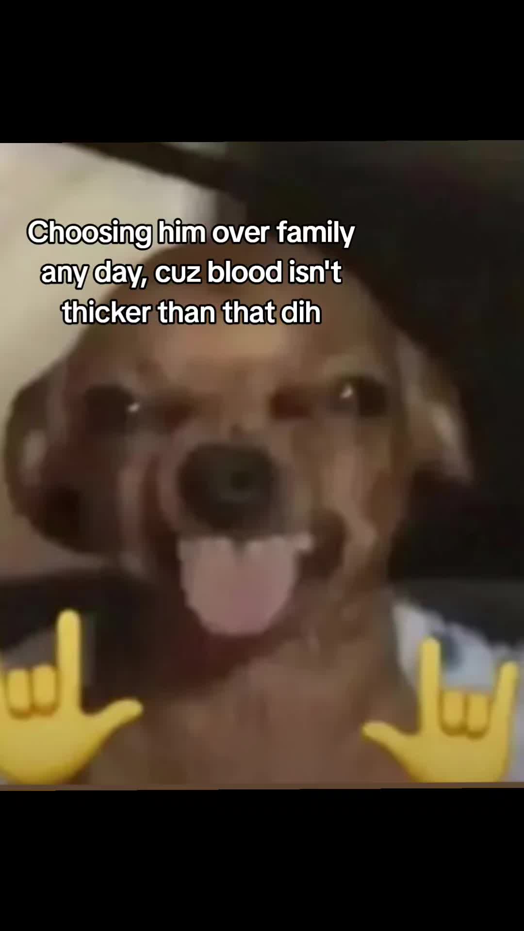 @Haili