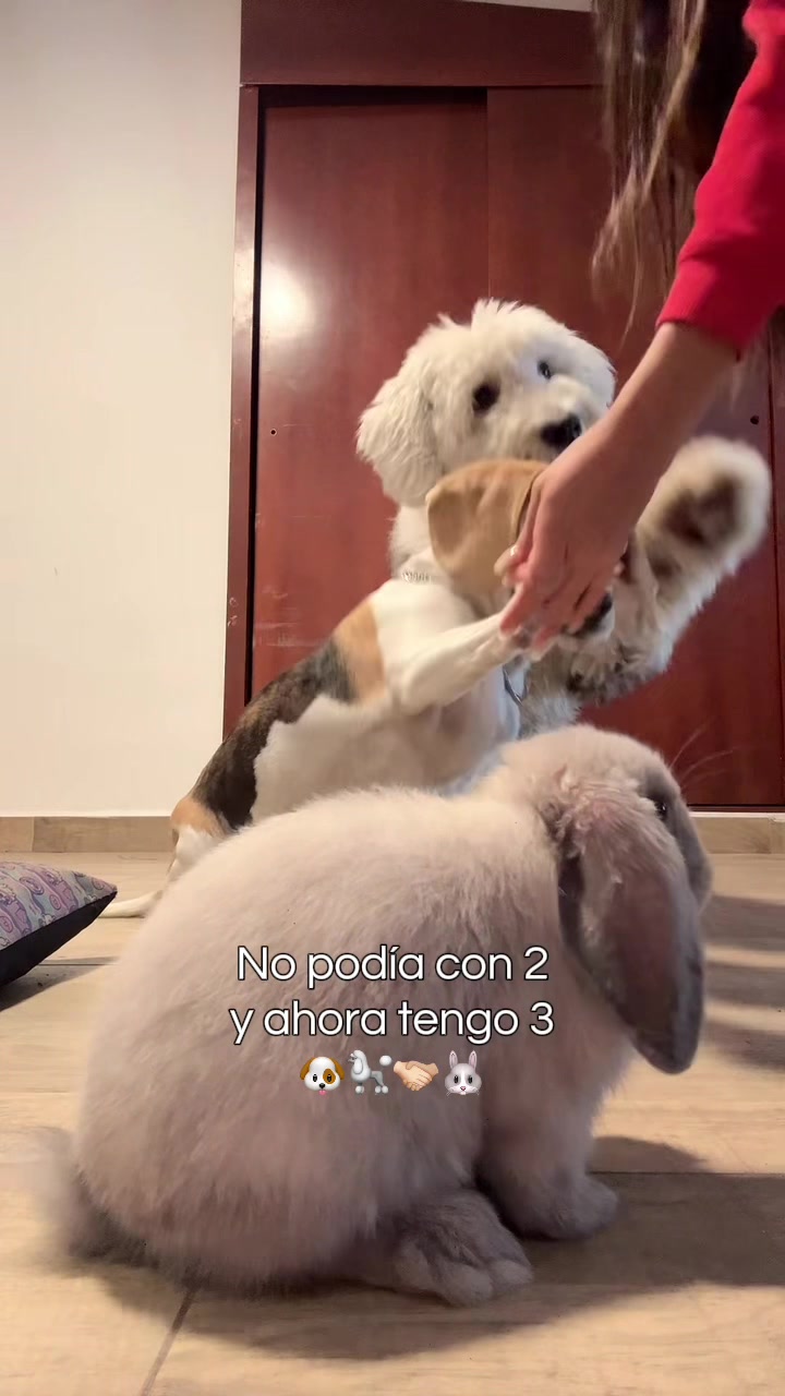 @Danna Gómez ✨