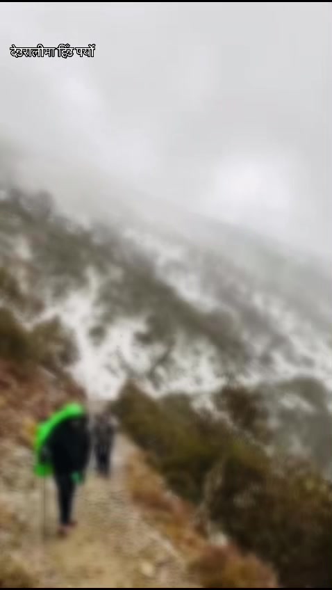 @साईलो दाई