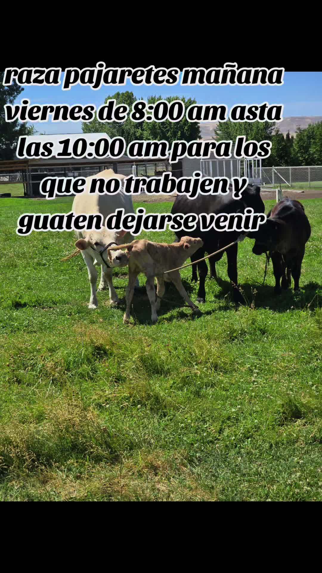 @rancho_rangel1