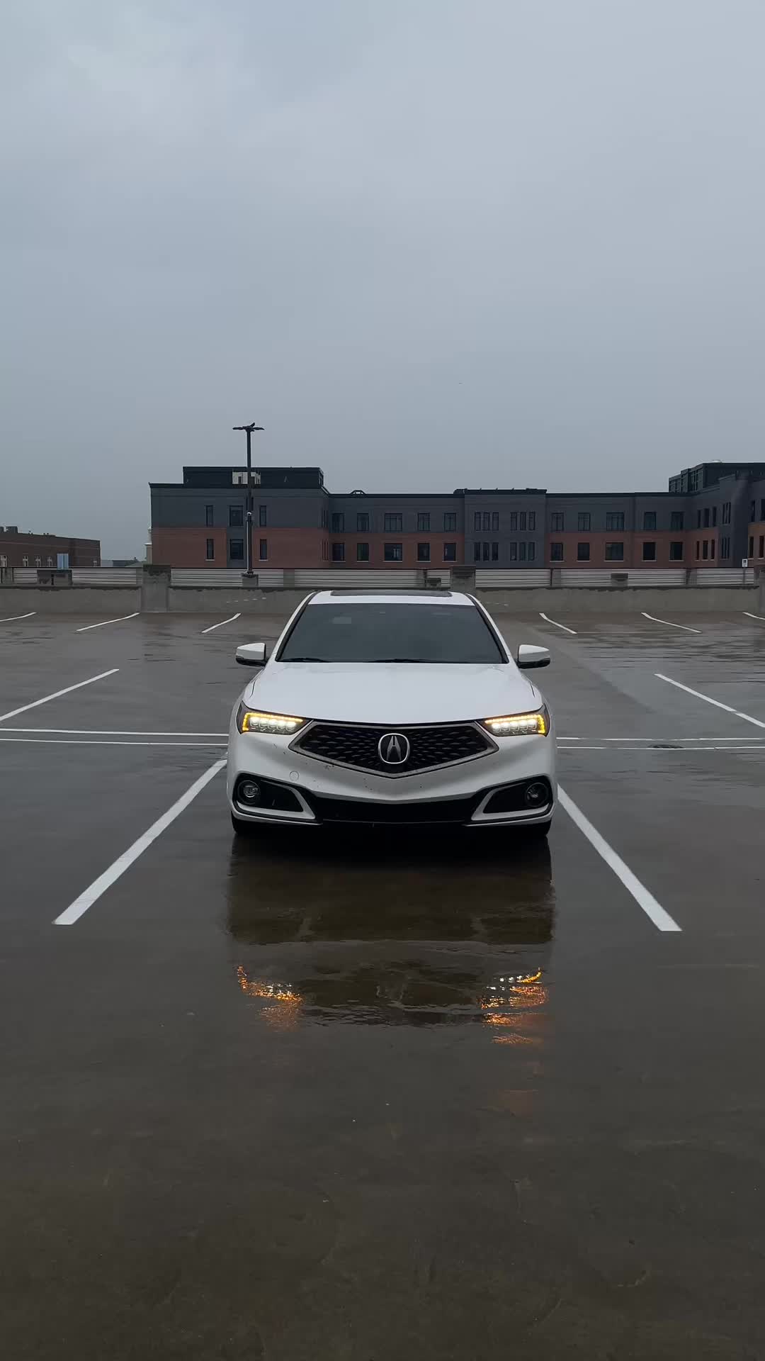 @PattySpec🇵🇱