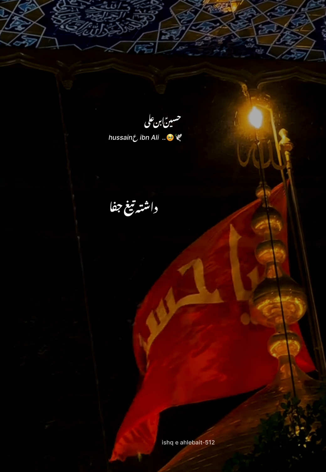 @~!;🤎✨سید زادہ