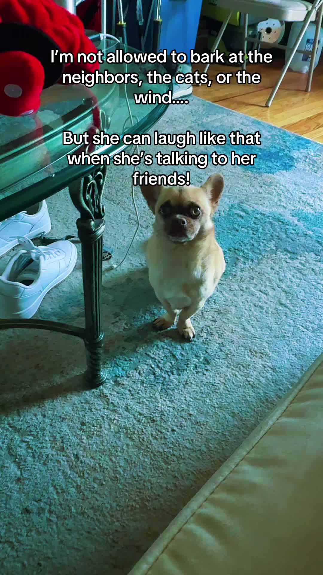 @me_vs_me_seazn