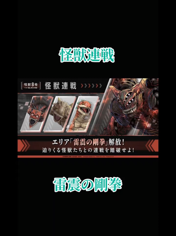 @猫