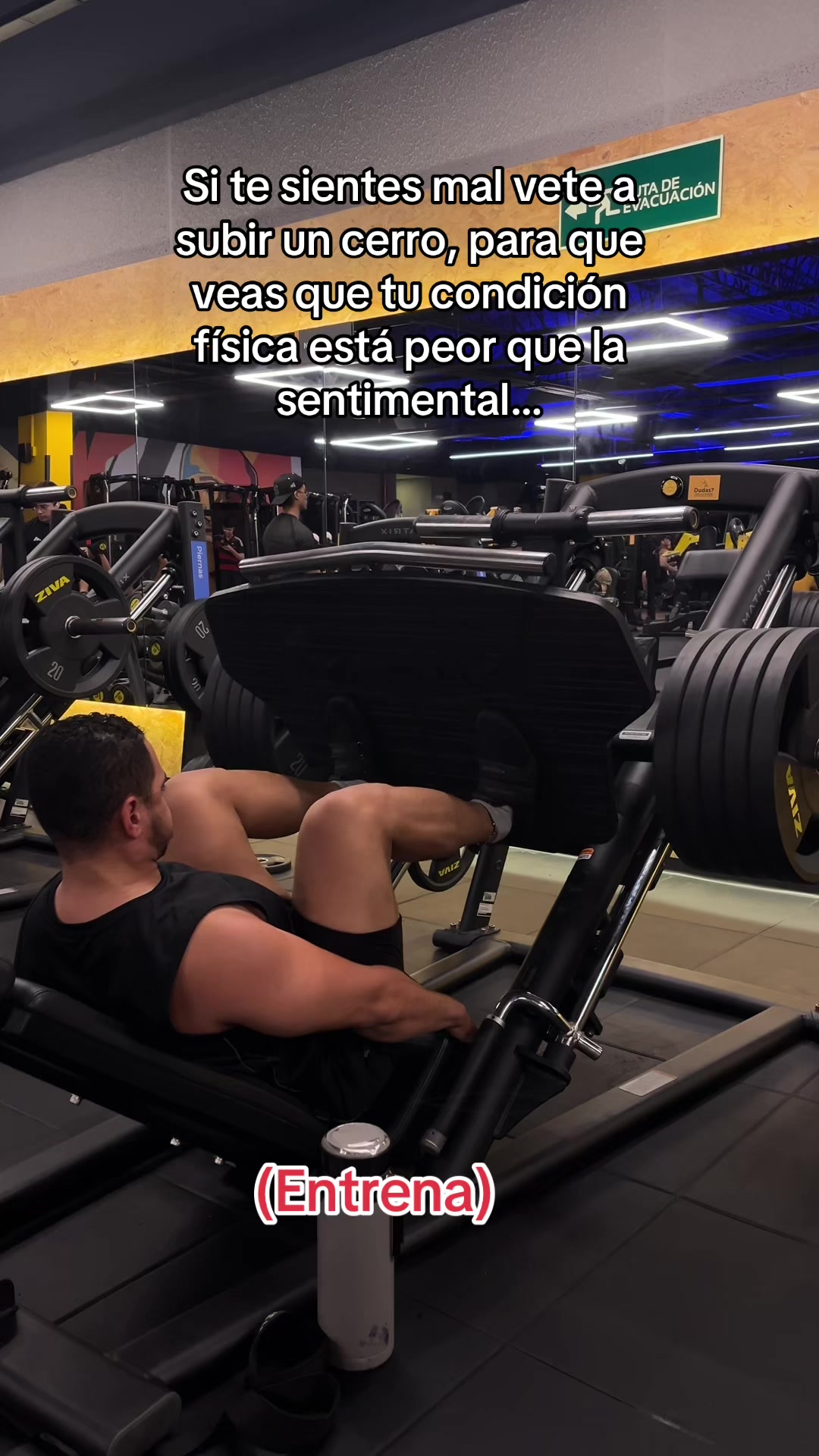 @wiltrainerfit