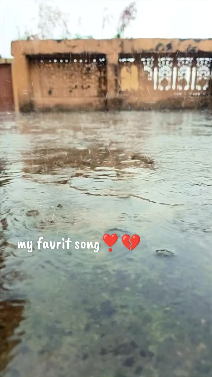 @M. Sajjad tanoli🥀