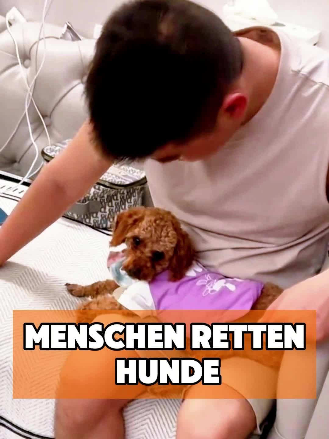 @toto_tier