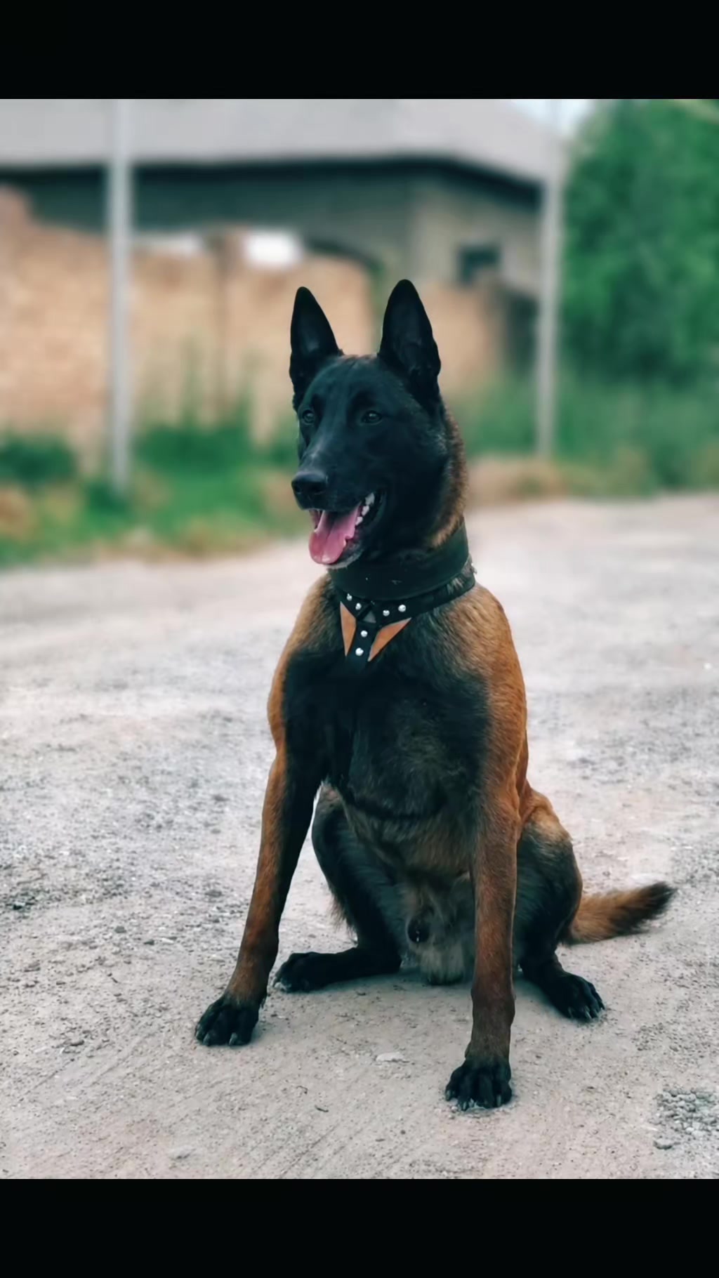 @𝐄𝐋𝐋𝐓𝐎