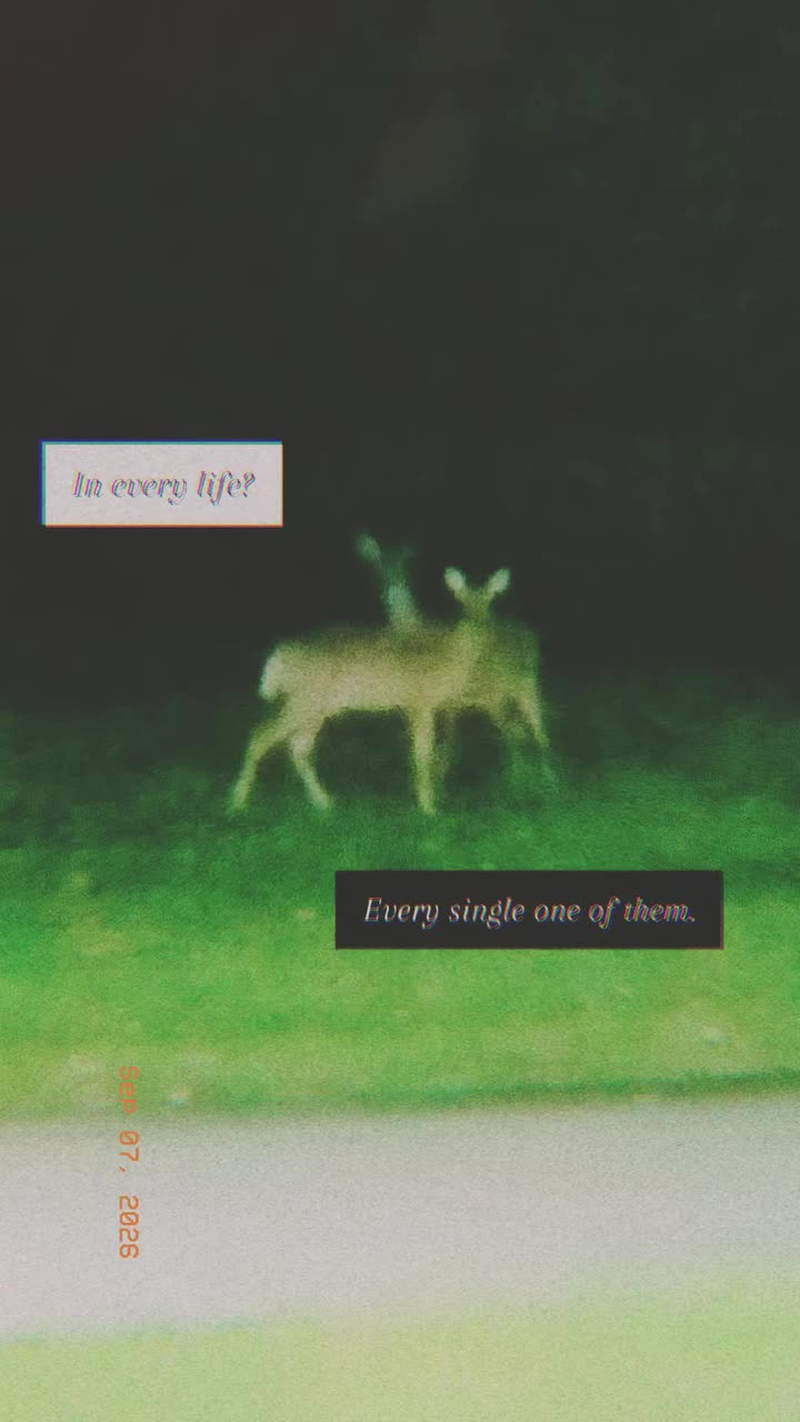 @Clover