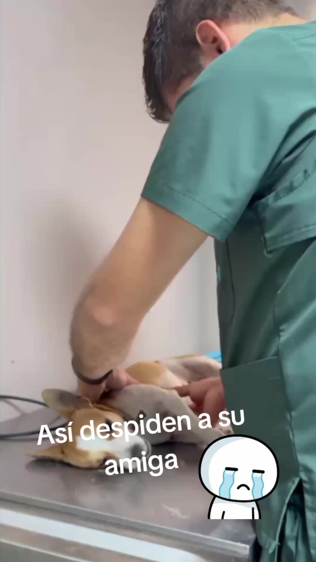 @yessi