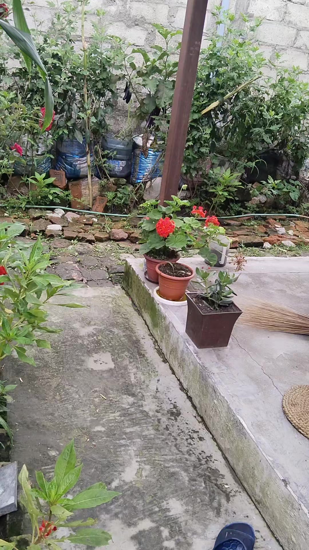 @kanxi___lama