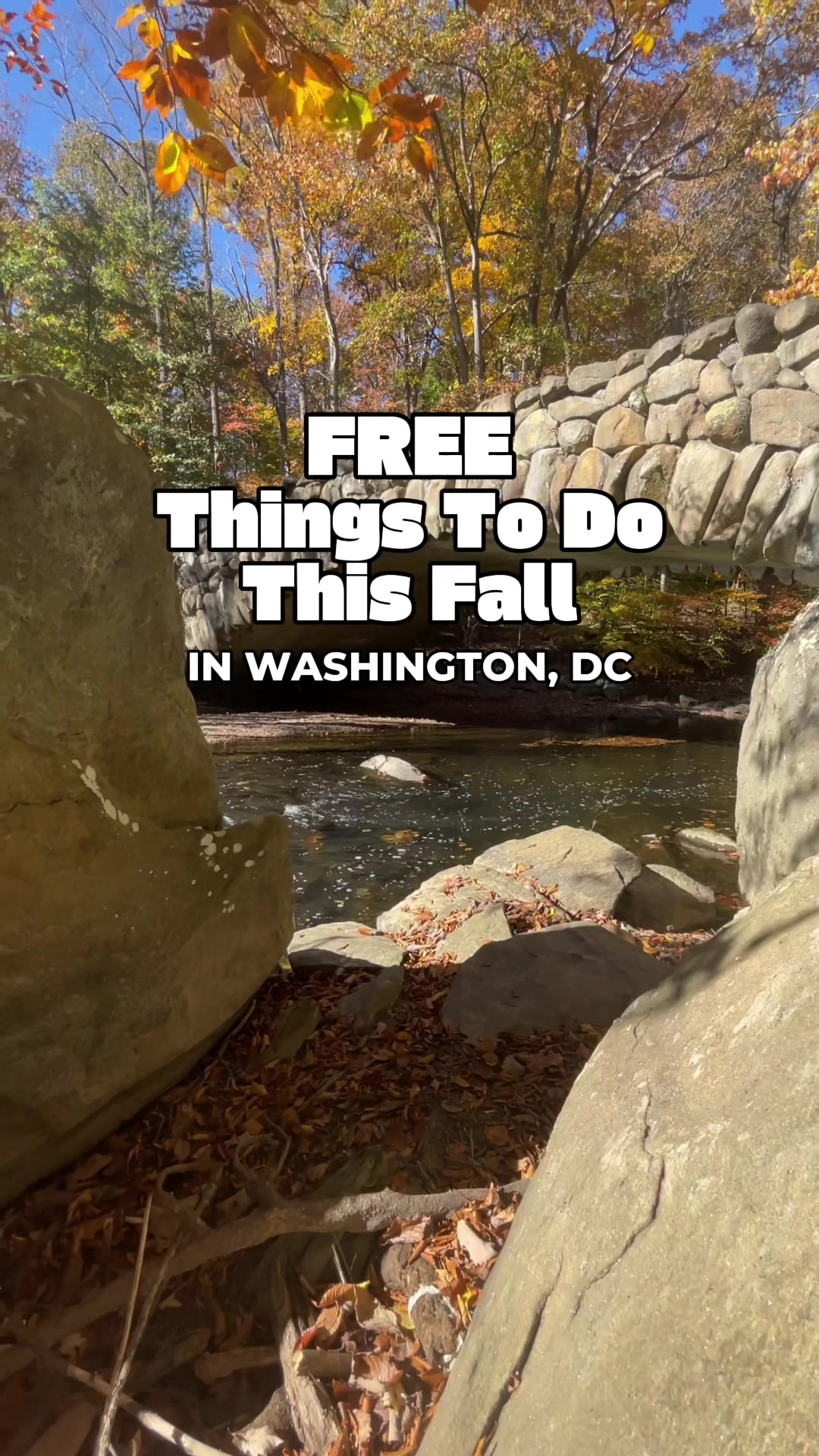 @Visit Washington, DC
