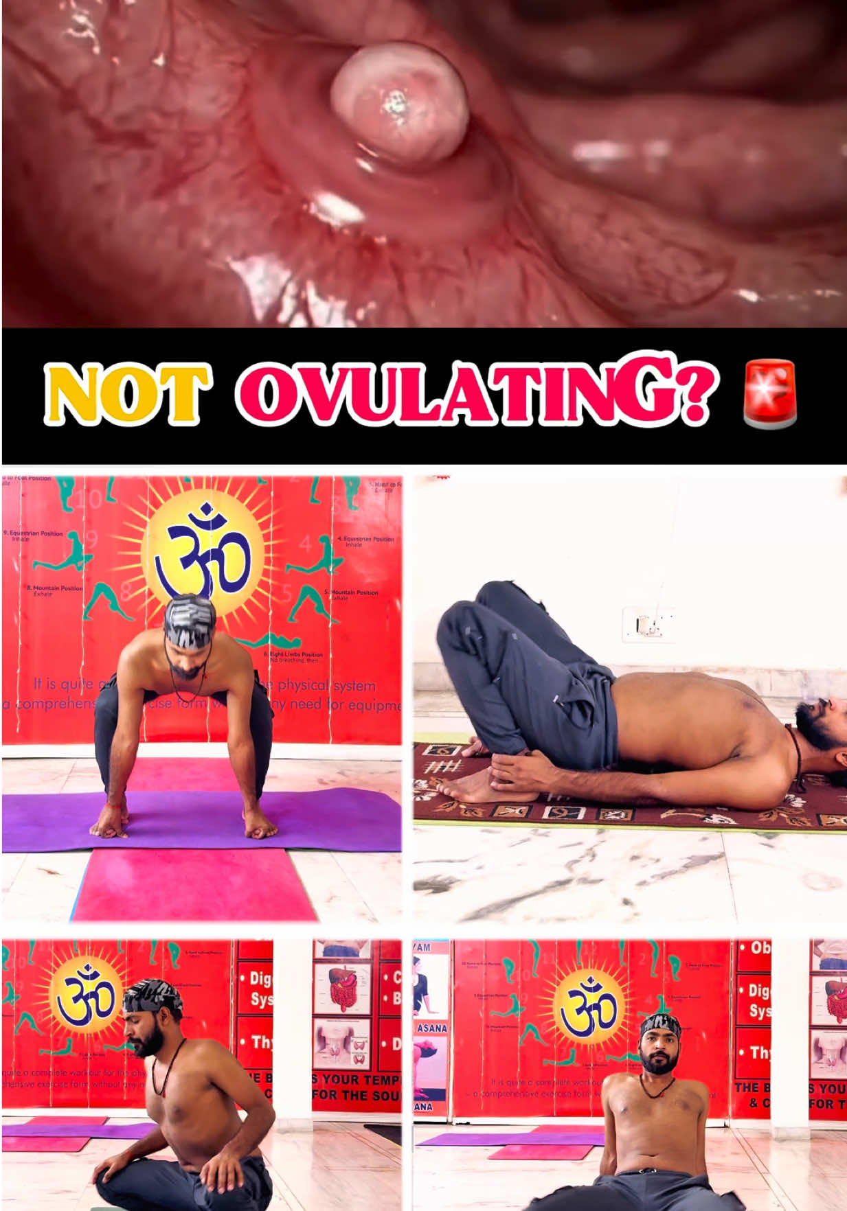 @Yogi Gaurav