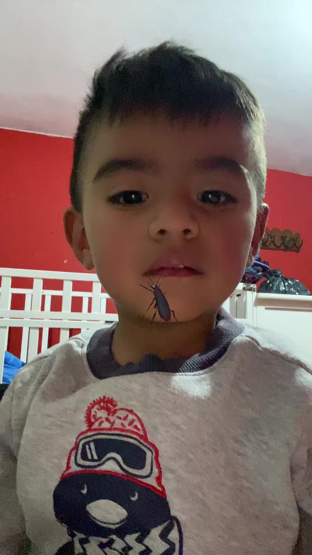 @Diana Vivar