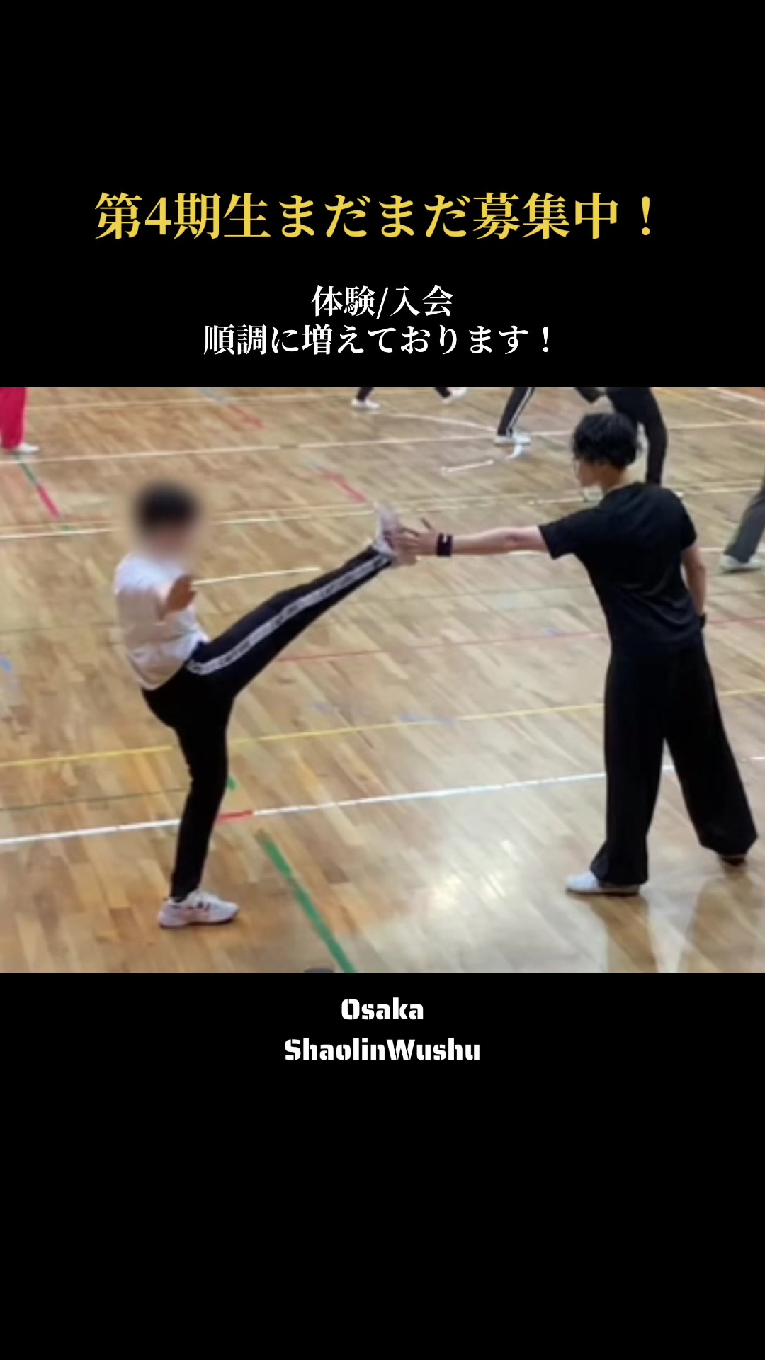 @日本少林武術連盟(JSWF)