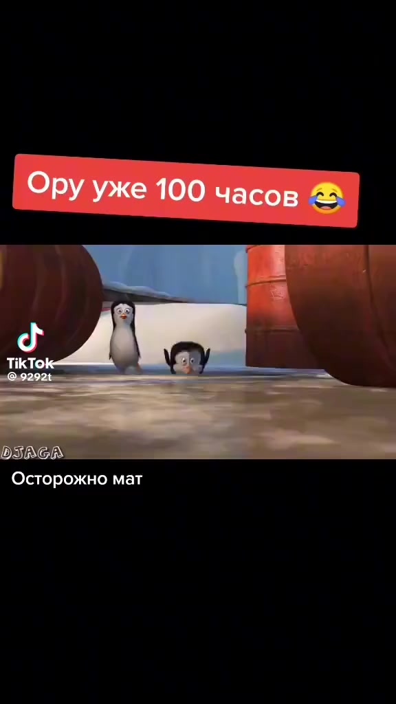 @арсен🤪