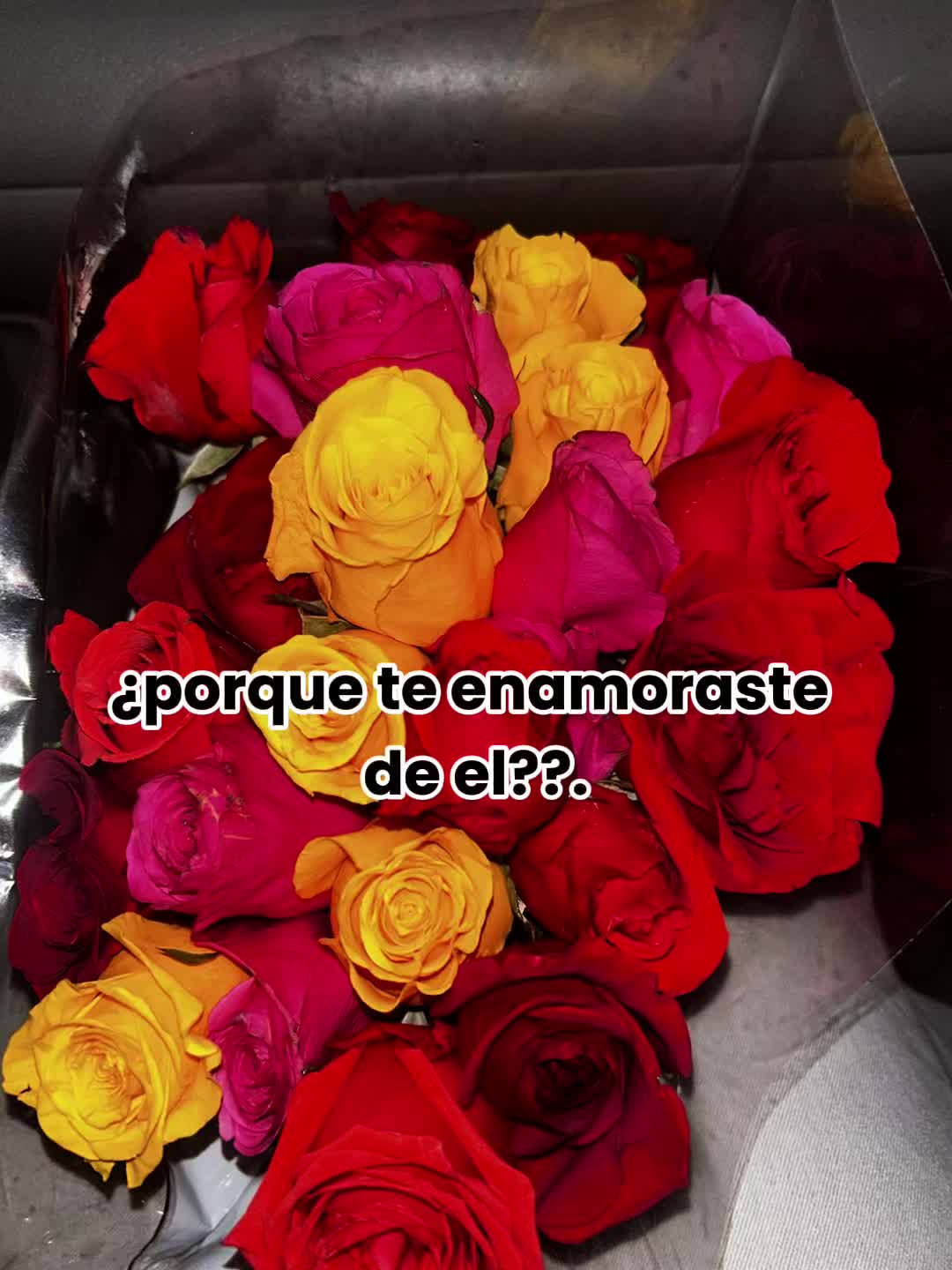 @Solitaria502🥀❤️🥀