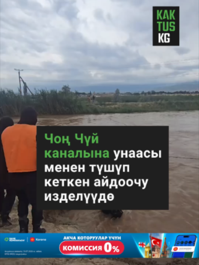 @Kaktus KG