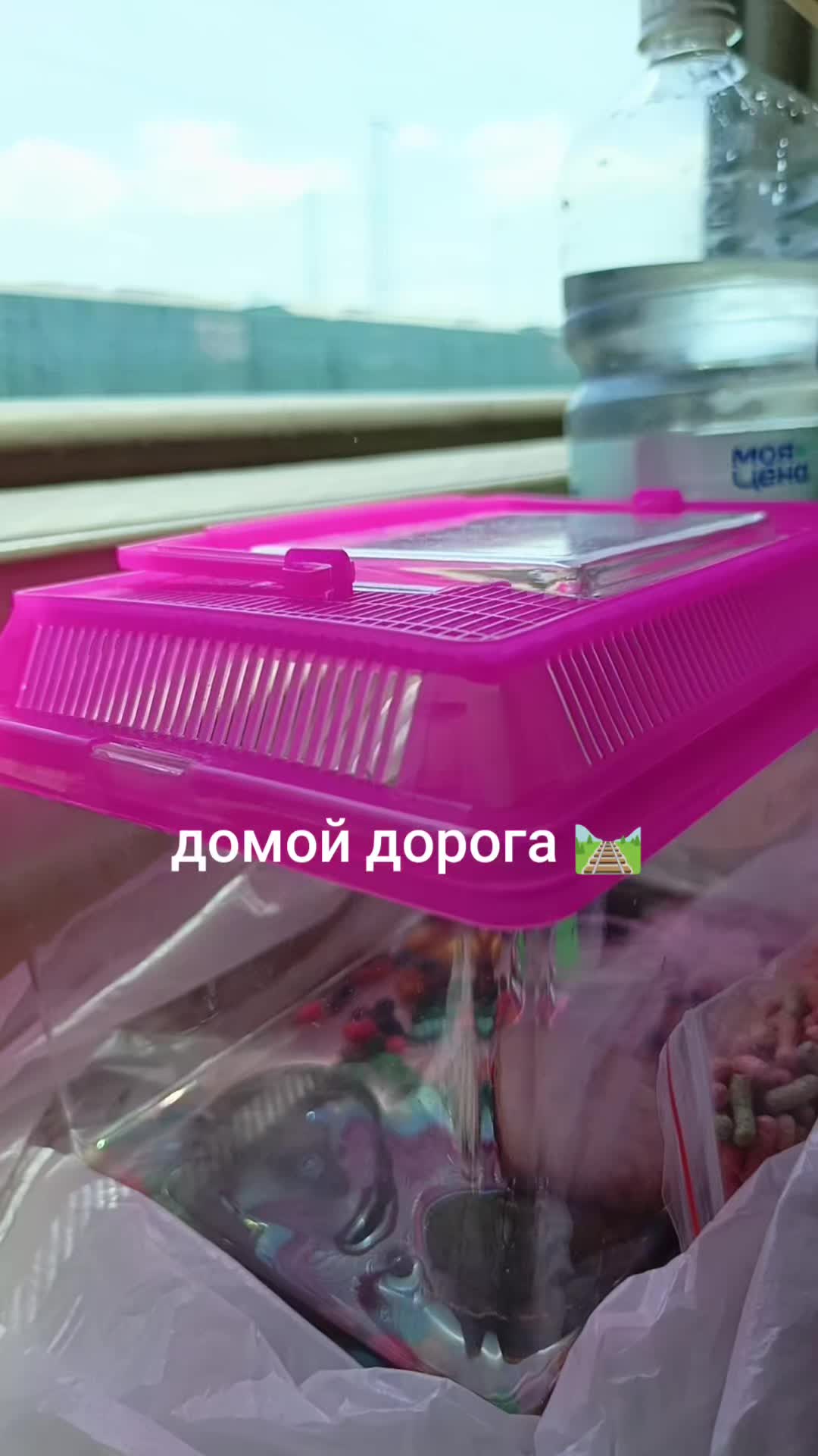 @🔥🔥Ю🔥л🔥е🔥к 🔥🔥