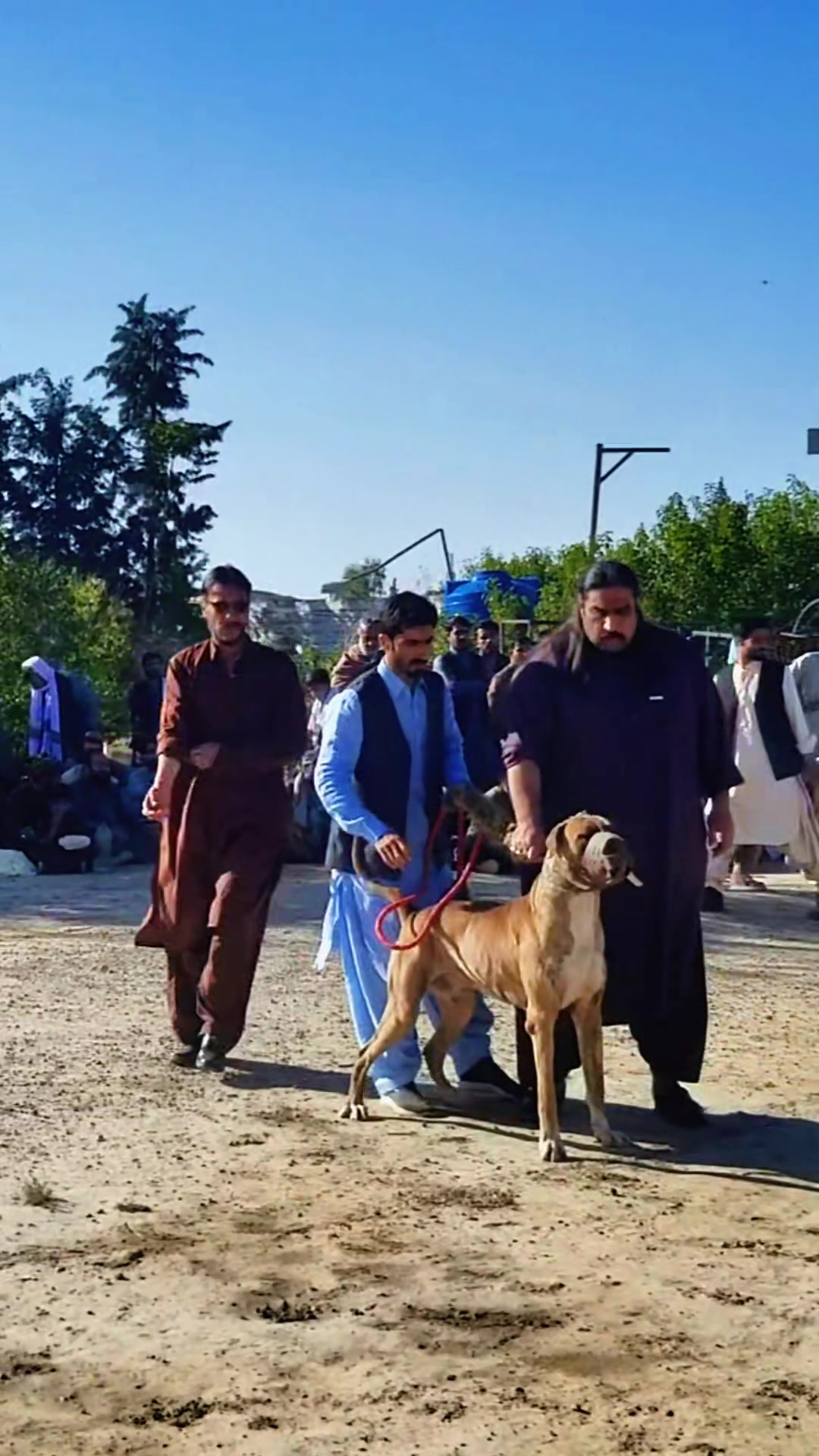 @Jaan Khilji