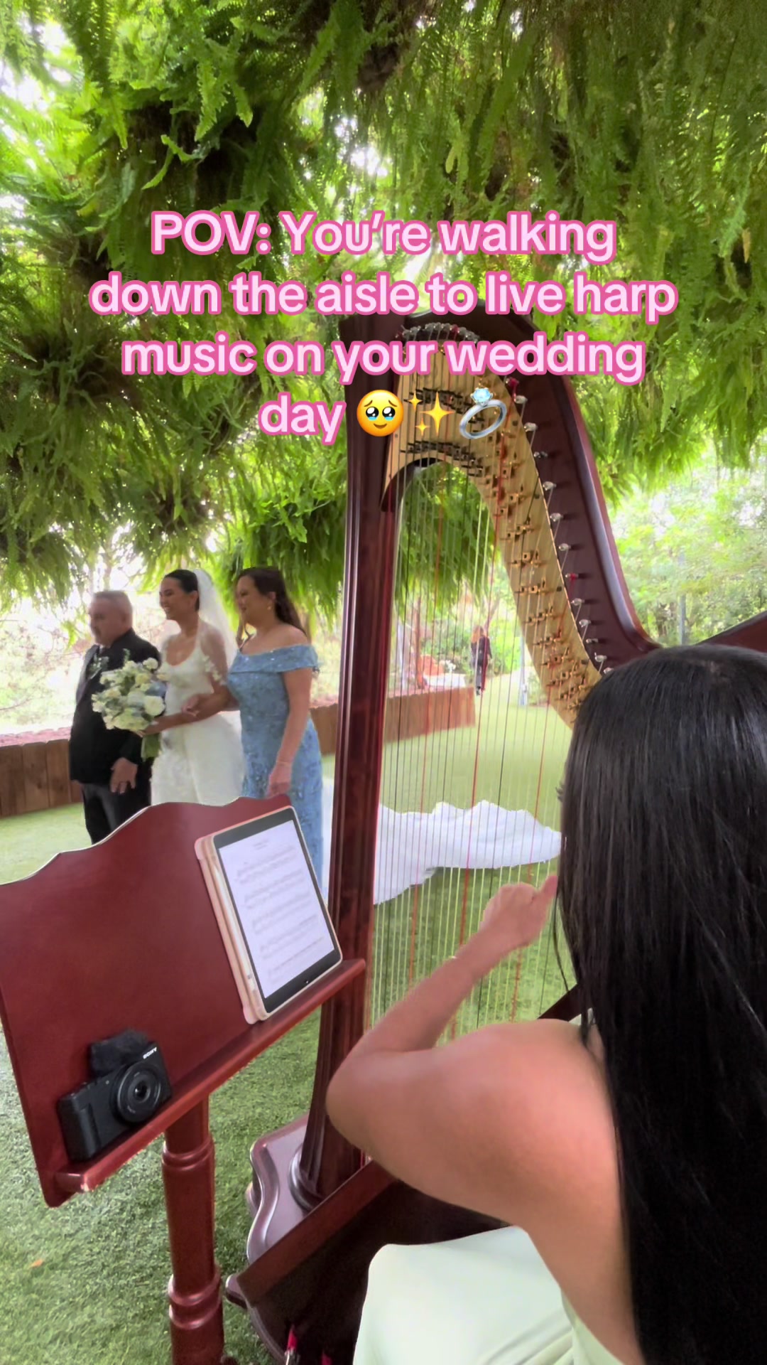 @betaniarodriguezharp