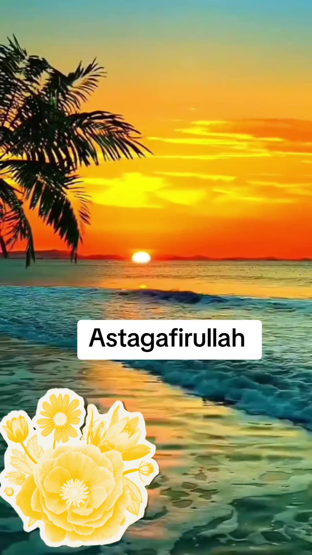 @Shakirah Shakirah