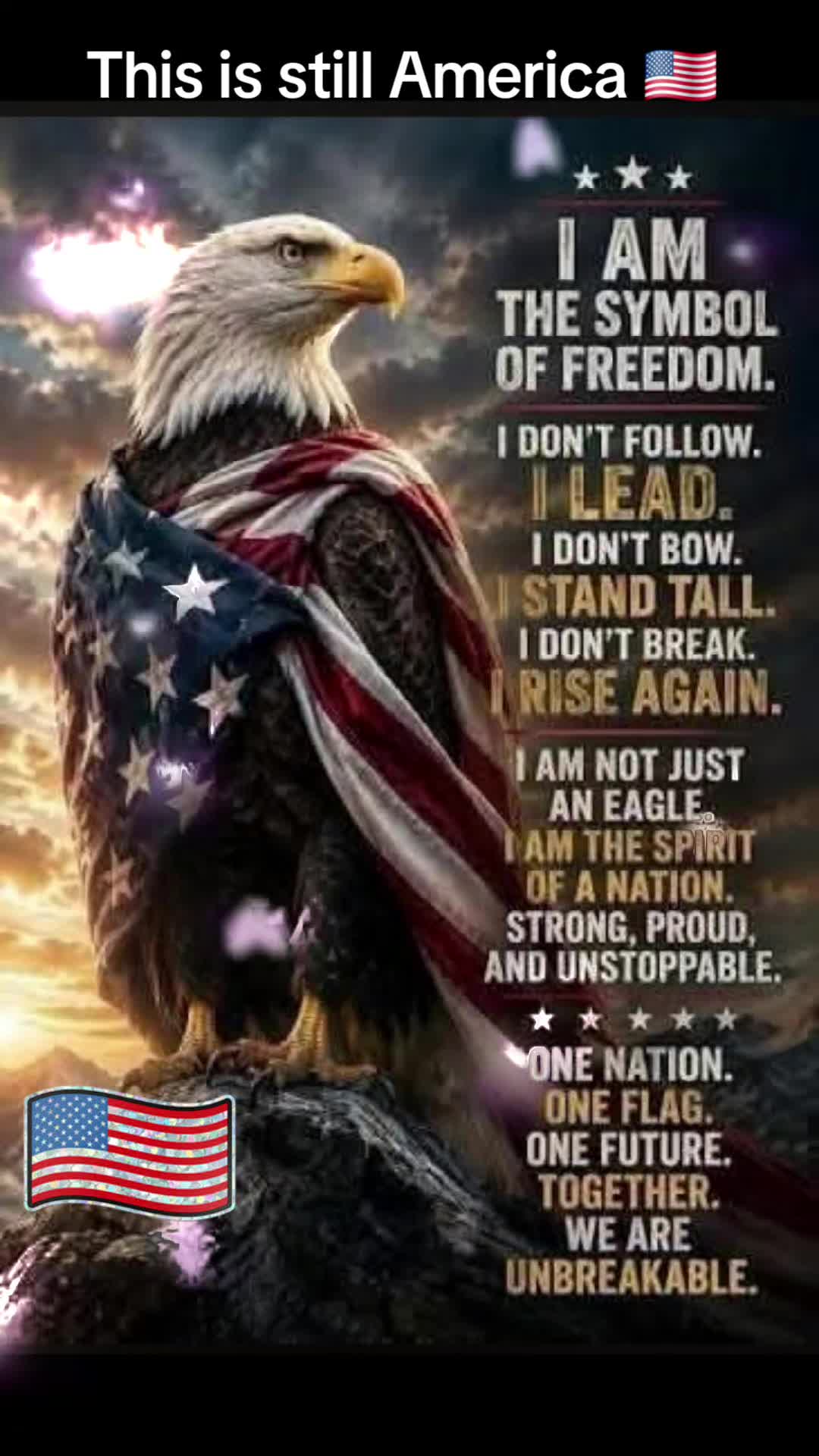 @jerry the patriot 🇺🇸