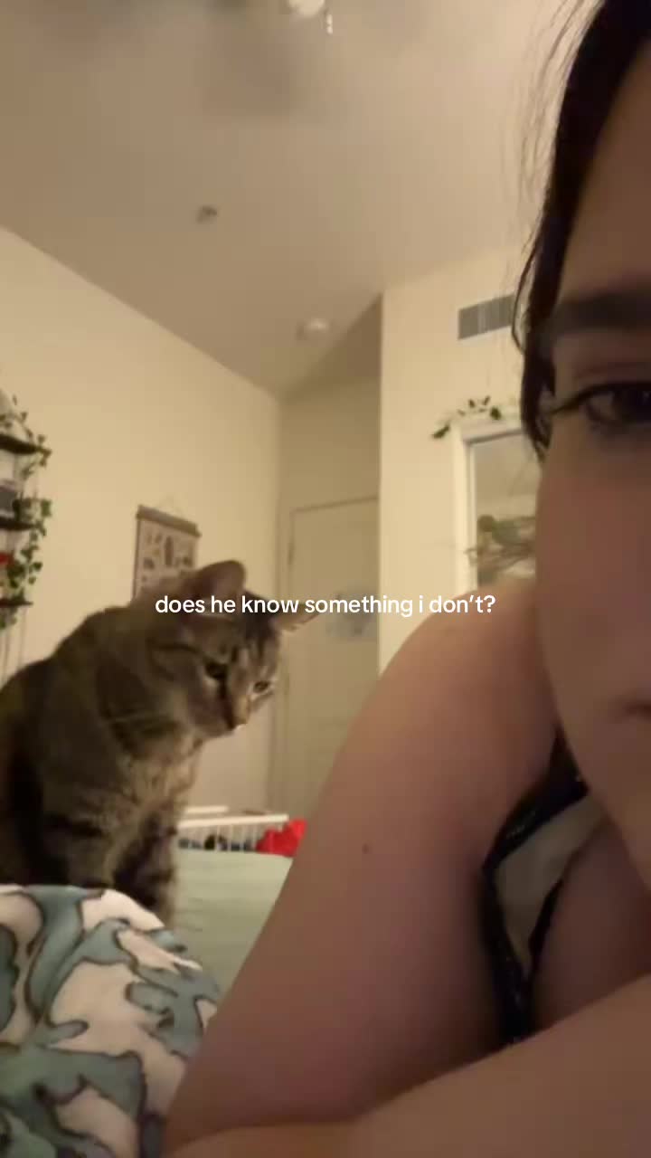 @tatum 𓆟