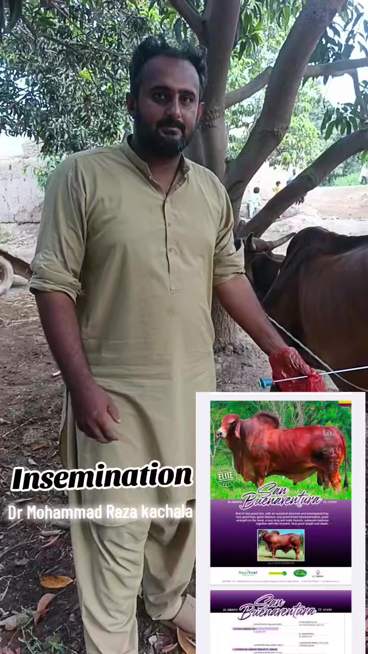 @Dr Mohammad Raza Kachala