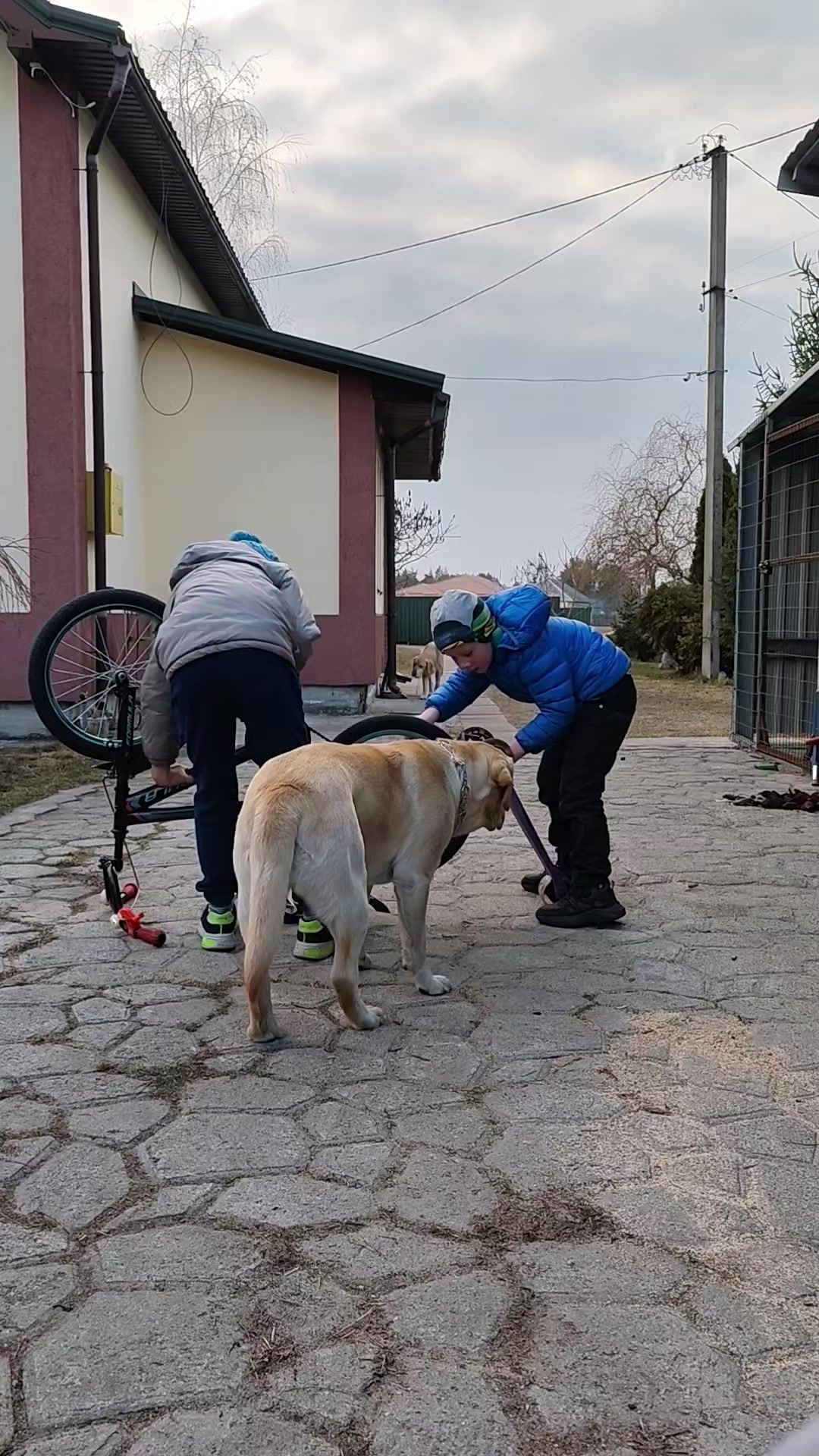 @Макс и Джесси