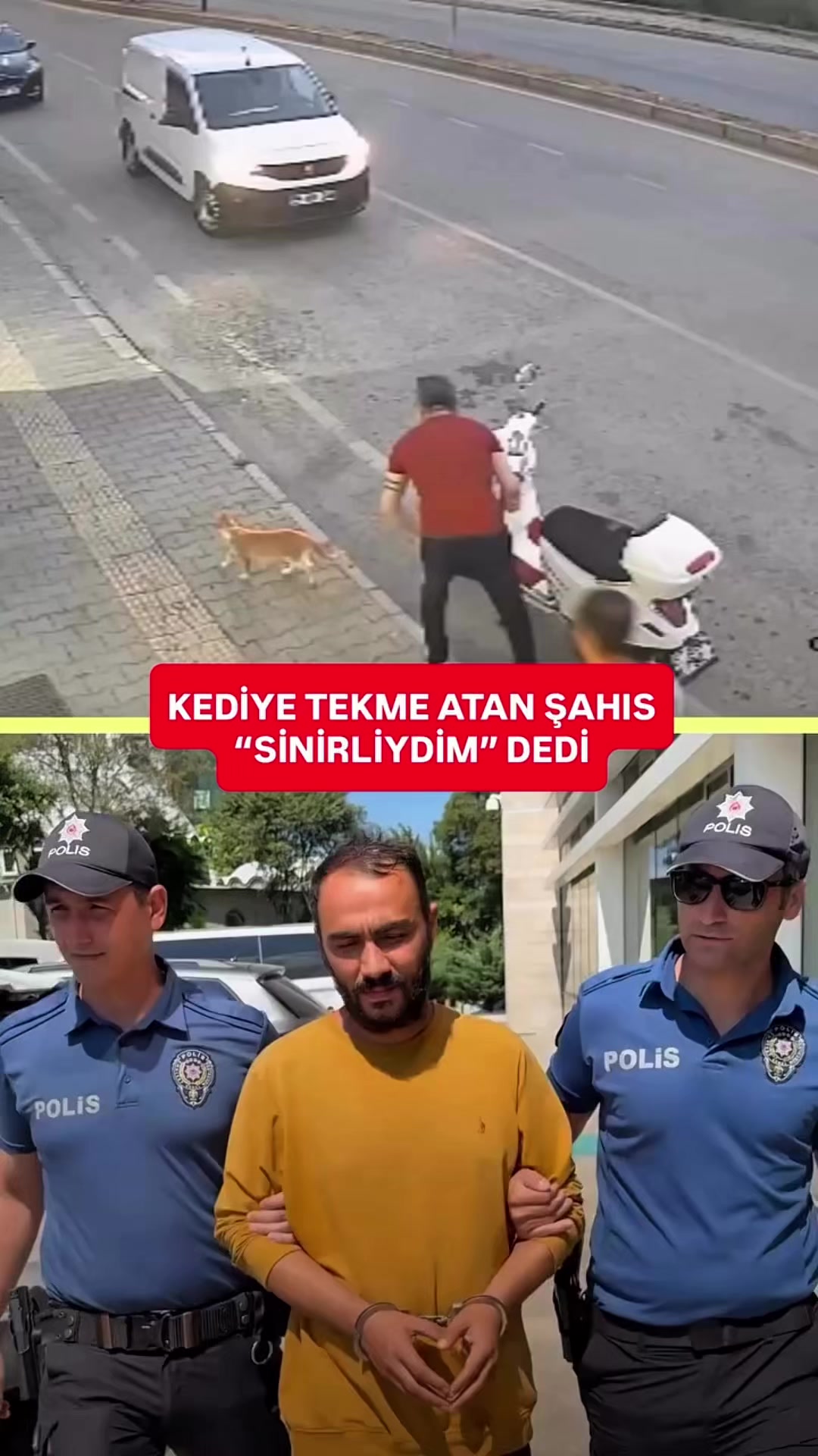 @Salim Kuntoğlu