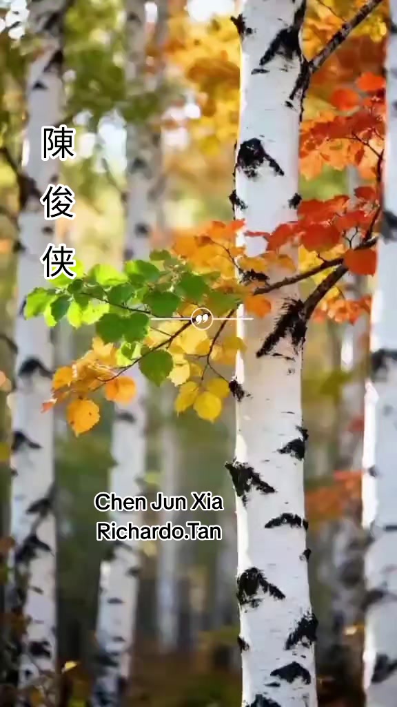 @陈俊侠.Richardo Tan