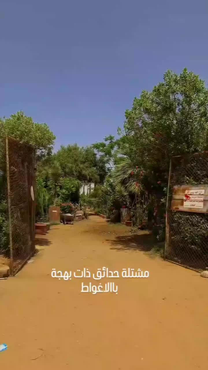 @P&eacute;pini&egrave;re ORIF Laghouat
