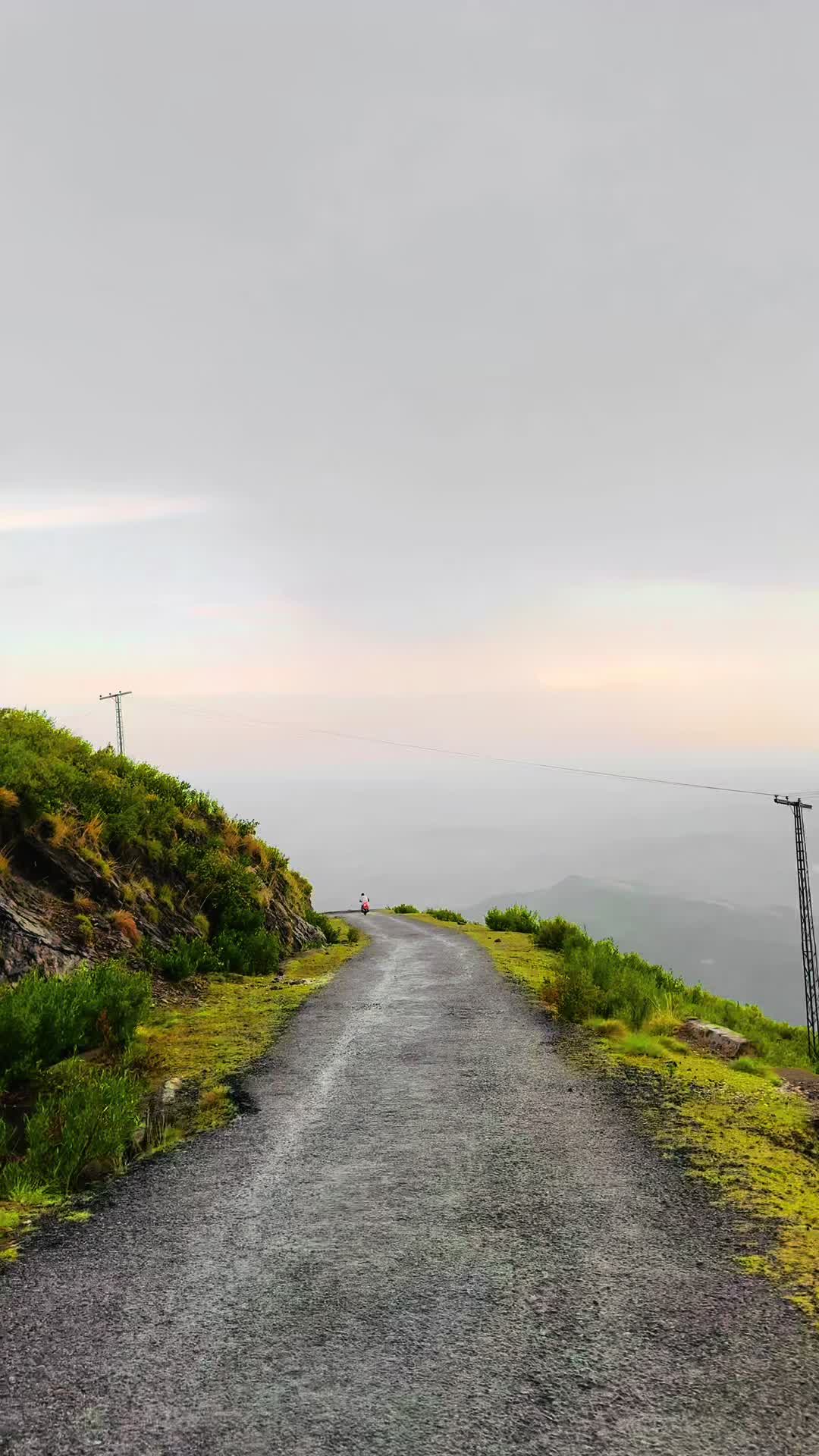 @TVزیم