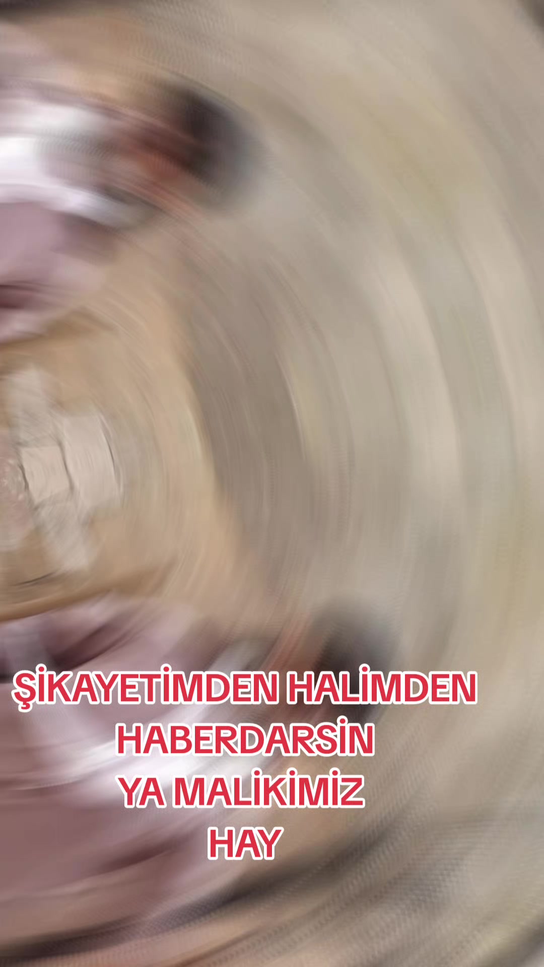 @DÜNYA BURASİ NE ARASAN İÇİNDE