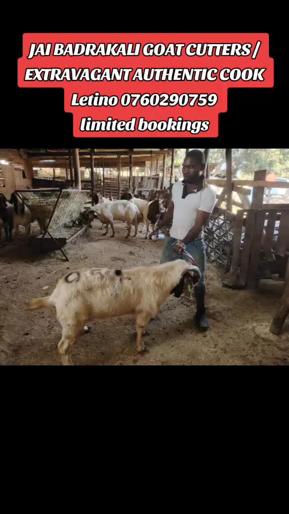 @MA KALI ENTERTAINERS