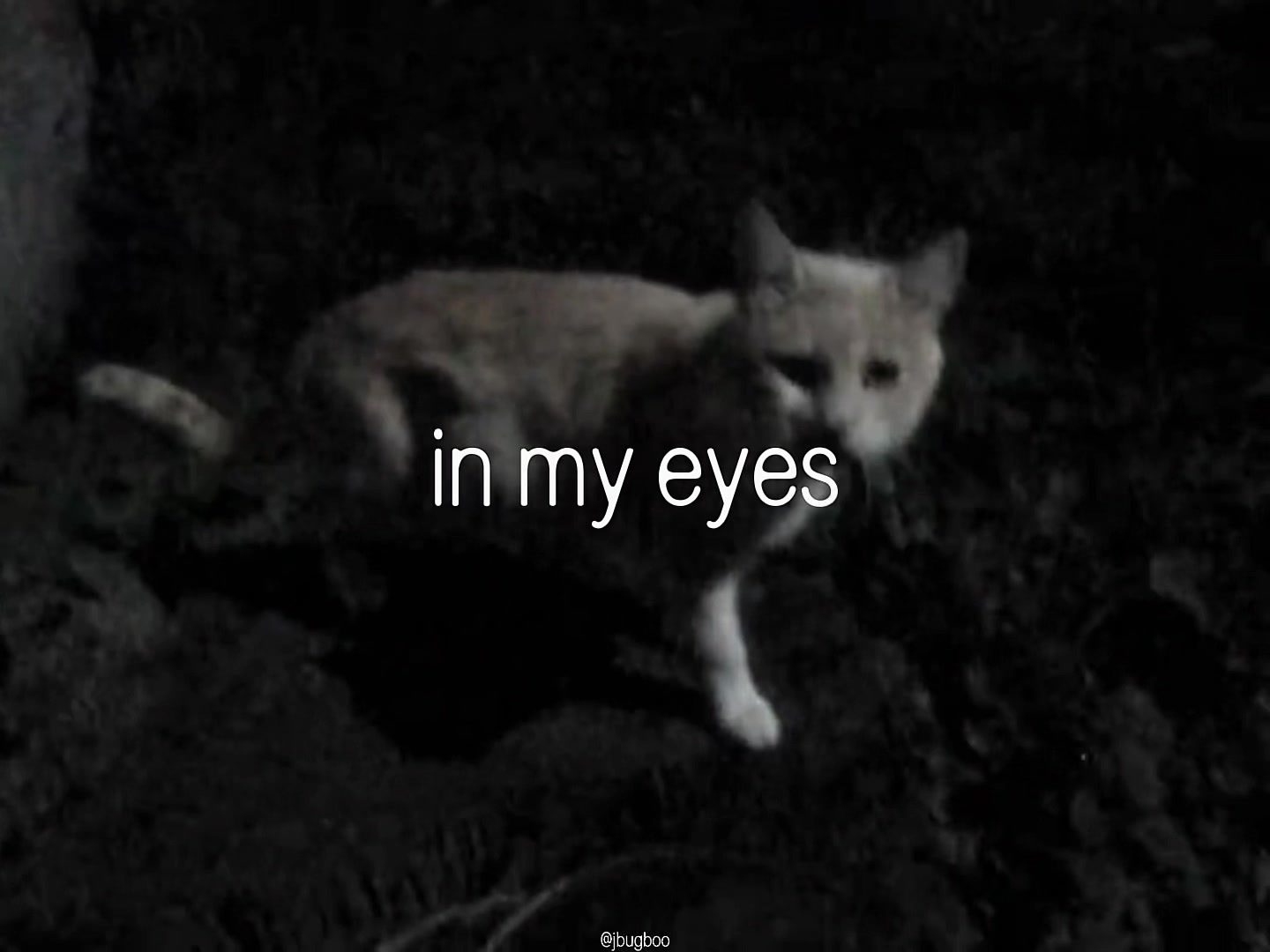 @bug
