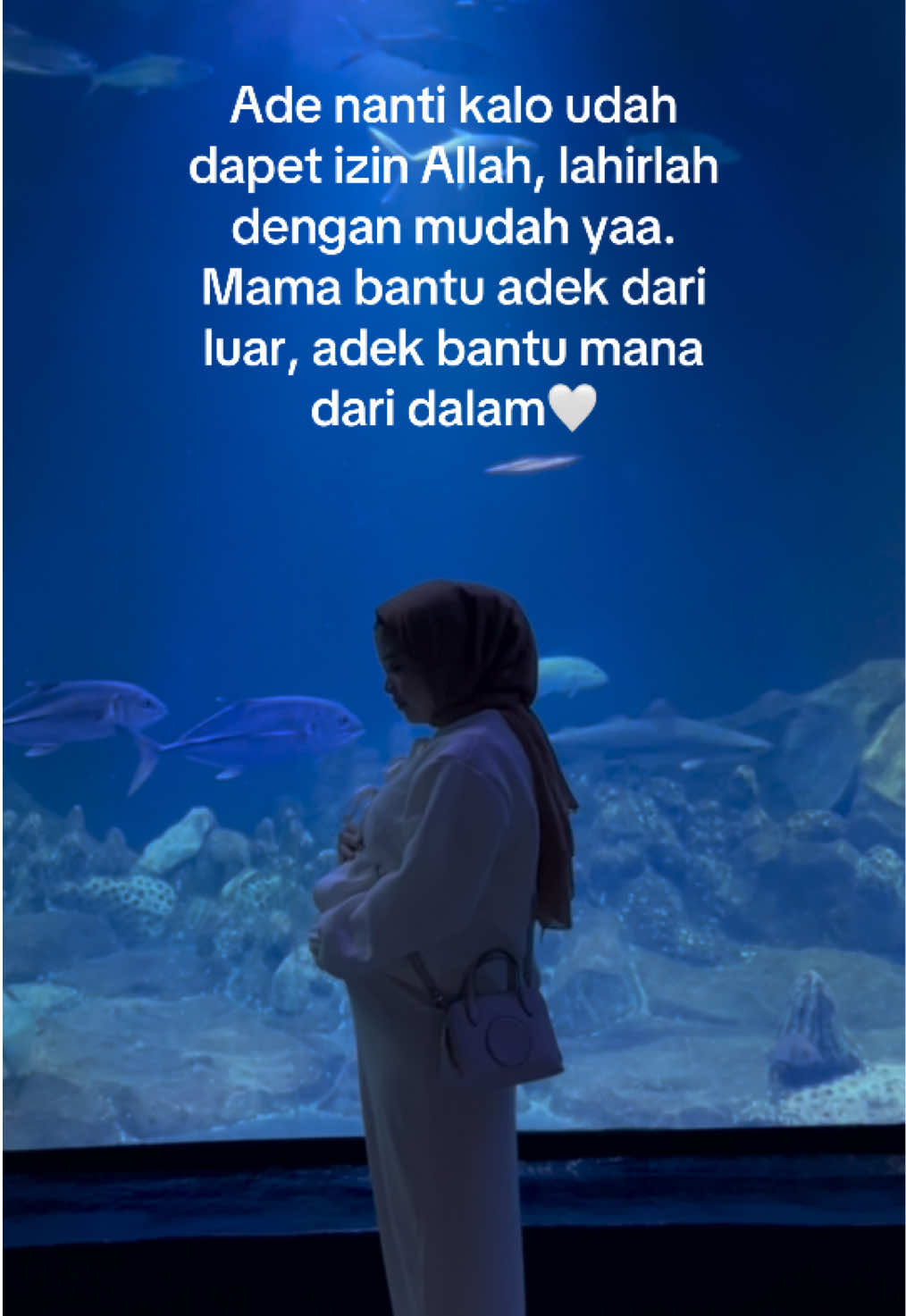 @Lyne 𐙚