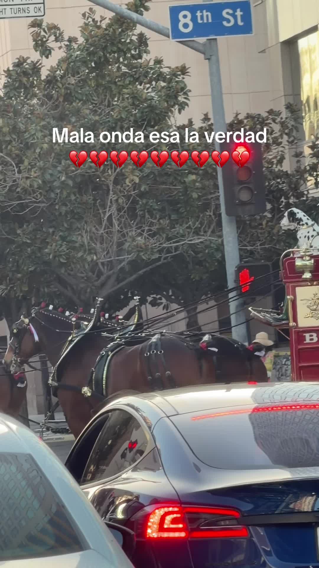 @🐓Wendy♾️Benitez🐓
