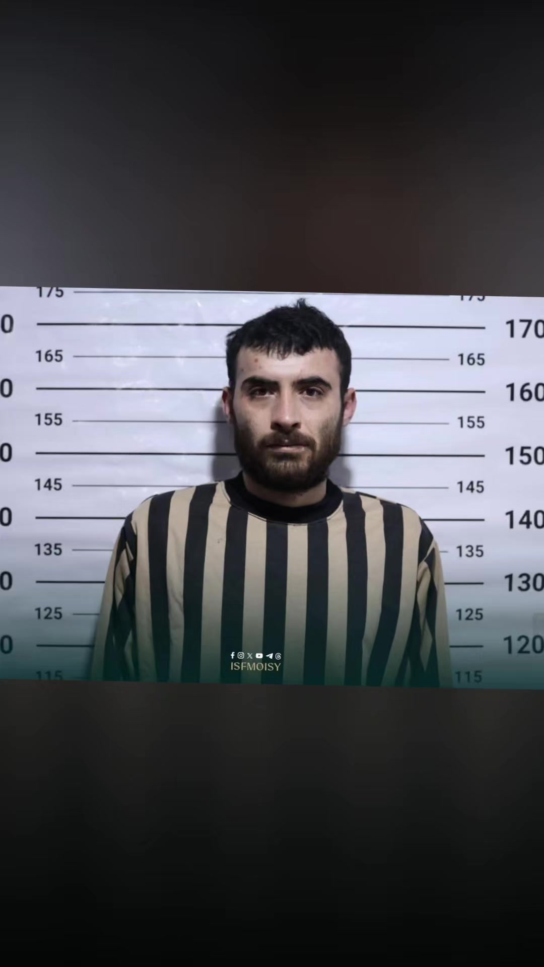 @شاهين شاهين