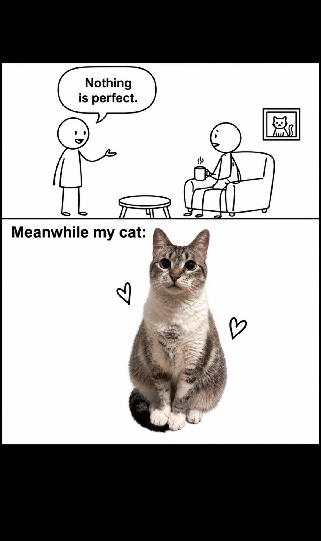 @Purrrrfect Moments