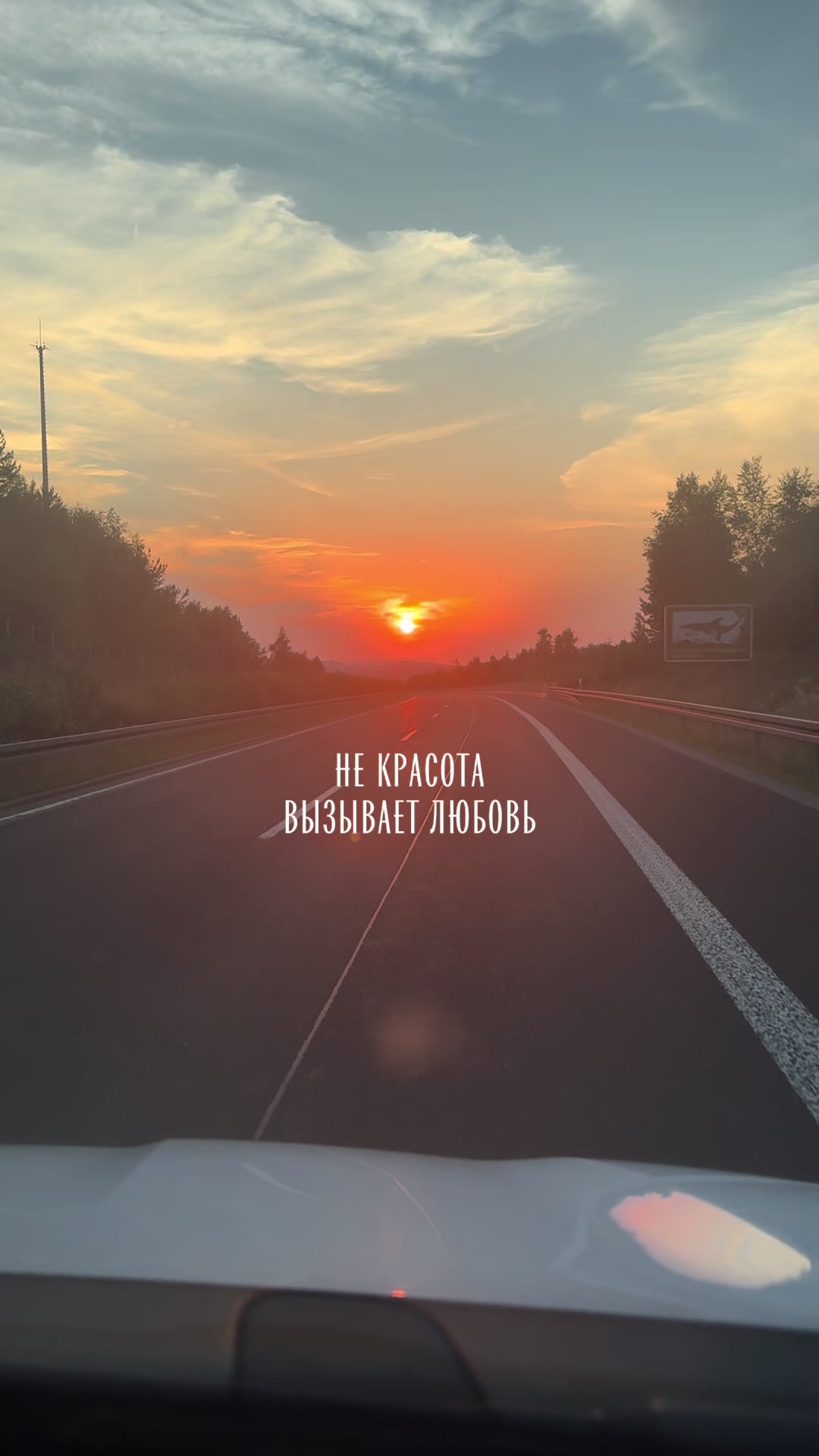 @Polinka